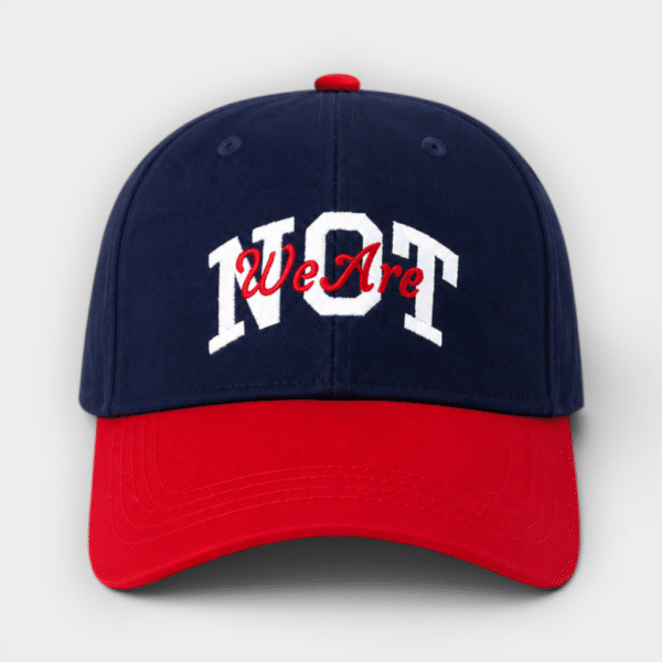 We Are Not Friends - Gorra Not in time